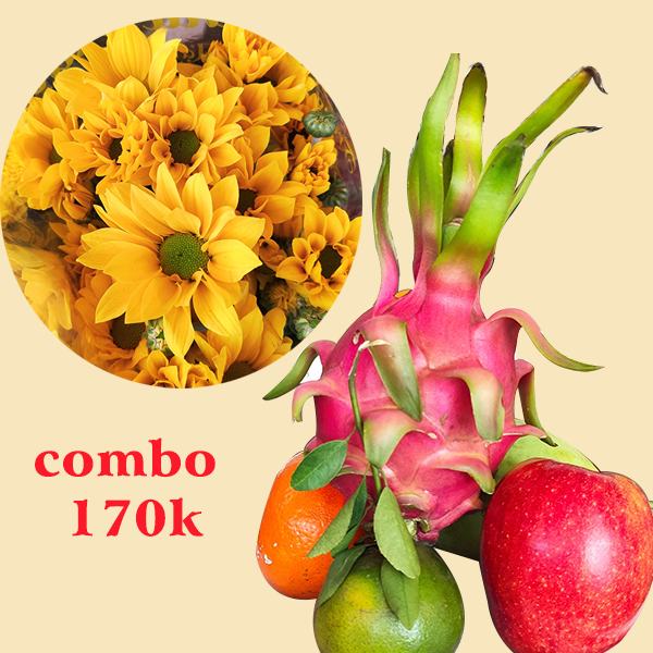 Combo trái cây và hoa mai cam