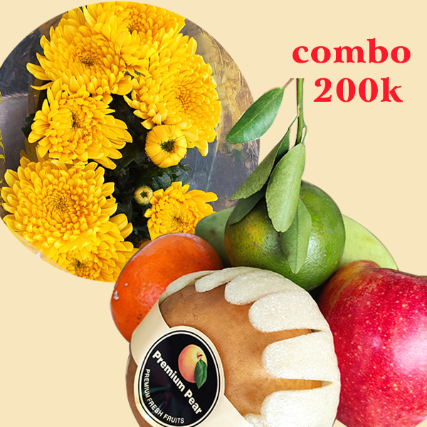 Combo trái cây và hoa cúc vàng