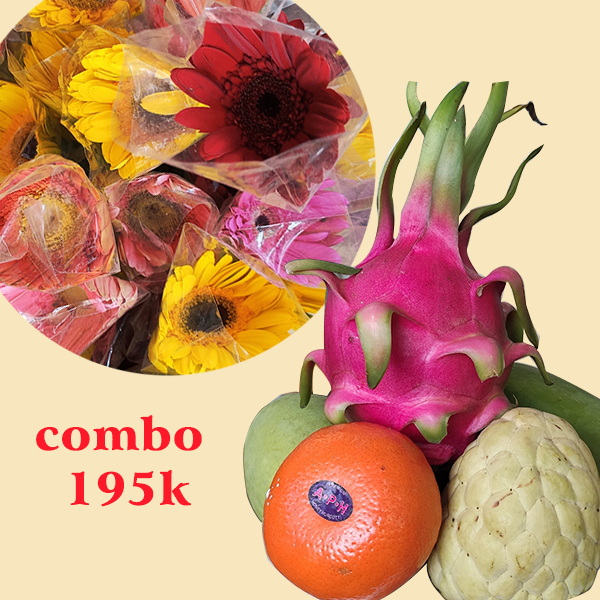 Combo trái cây và hoa đồng tiền