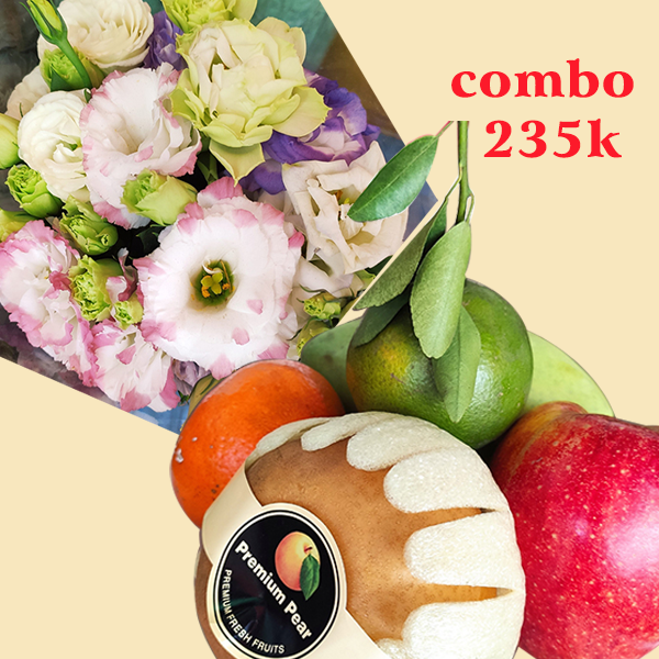 Combo trái cây và hoa cát tường