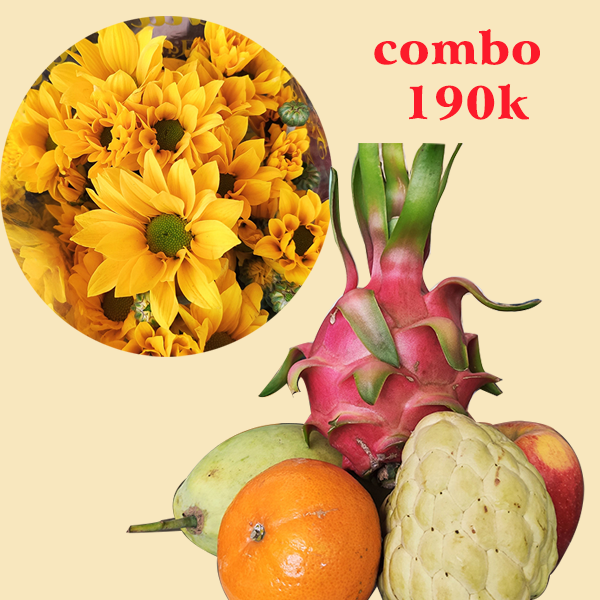Combo trái cây và hoa mai cam
