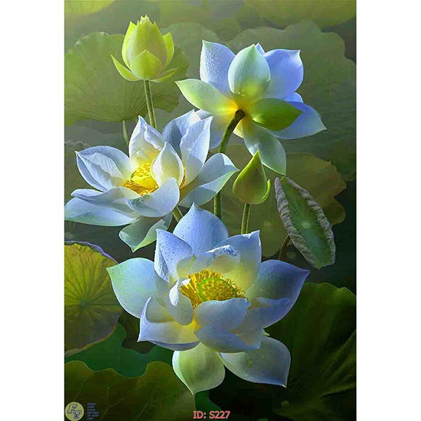 Tranh Treo Tường 3D Hoa Sen Ý HSD5,40x60