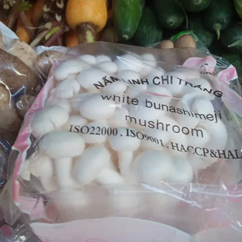 Nấm linh chi trắng 1 gói