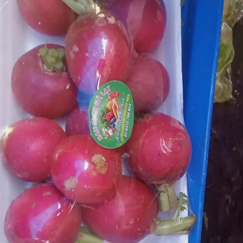 Củ cải đường