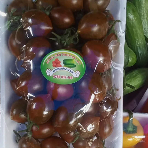 Cà chua sô cô la 1 vỉ