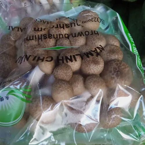 Nấm linh chi nâu 1 gói