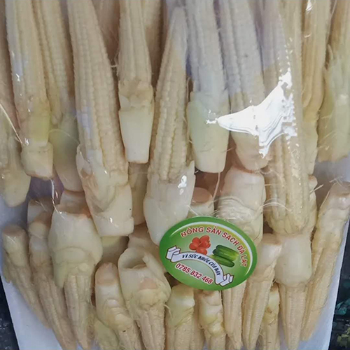Bắp non 1 vỉ