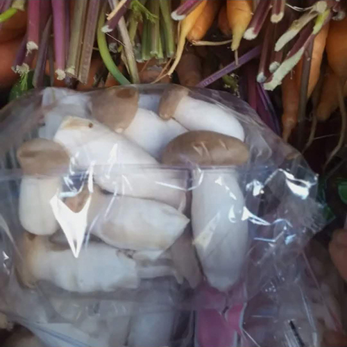 Nấm đùi gà non 1 gói