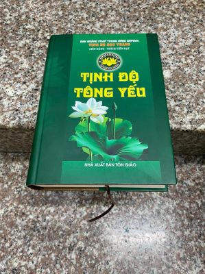 Tịnh độ tông yếu
