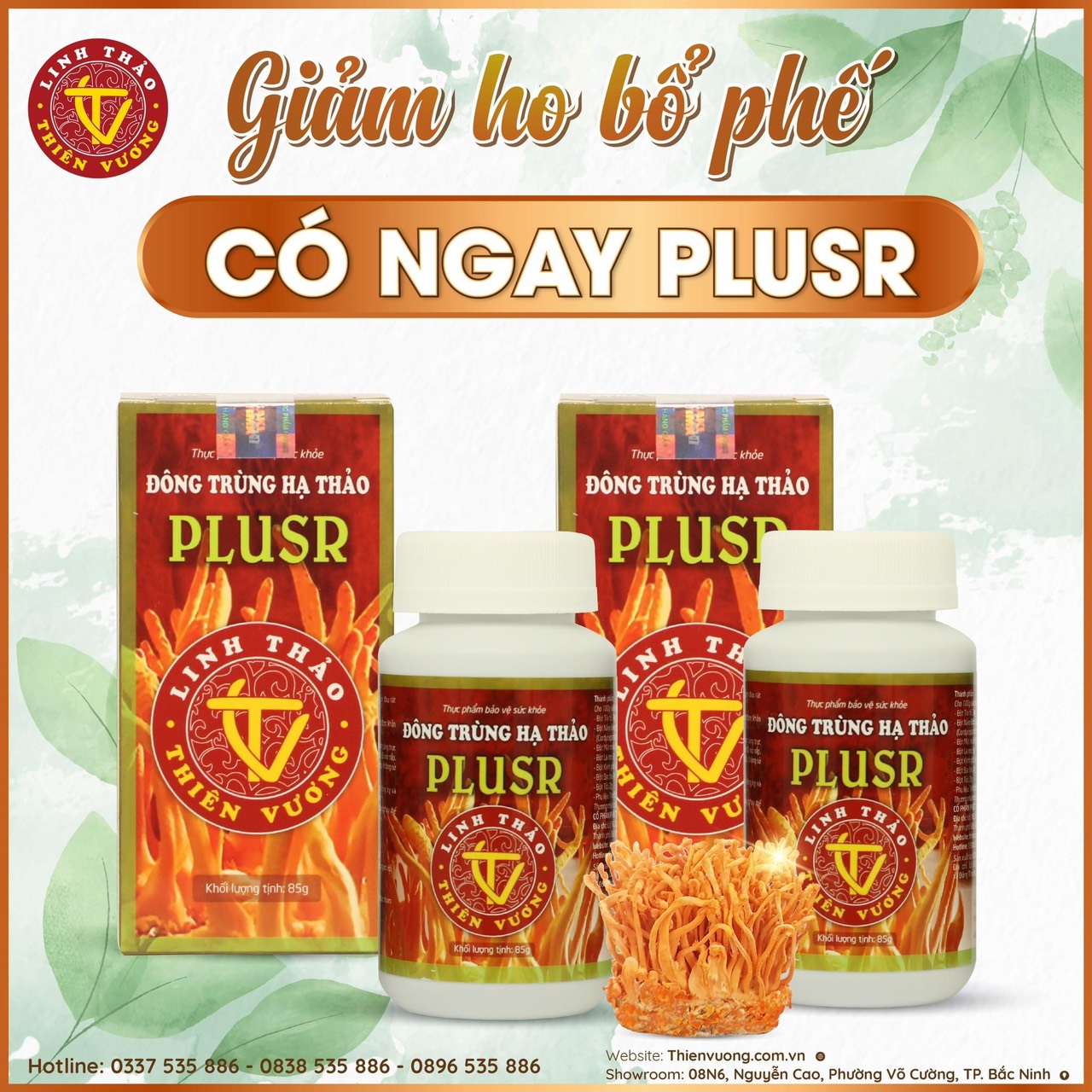 Thưc phẩm bảo vệ sức khỏe Đông trùng hạ thảo Plusr 85g