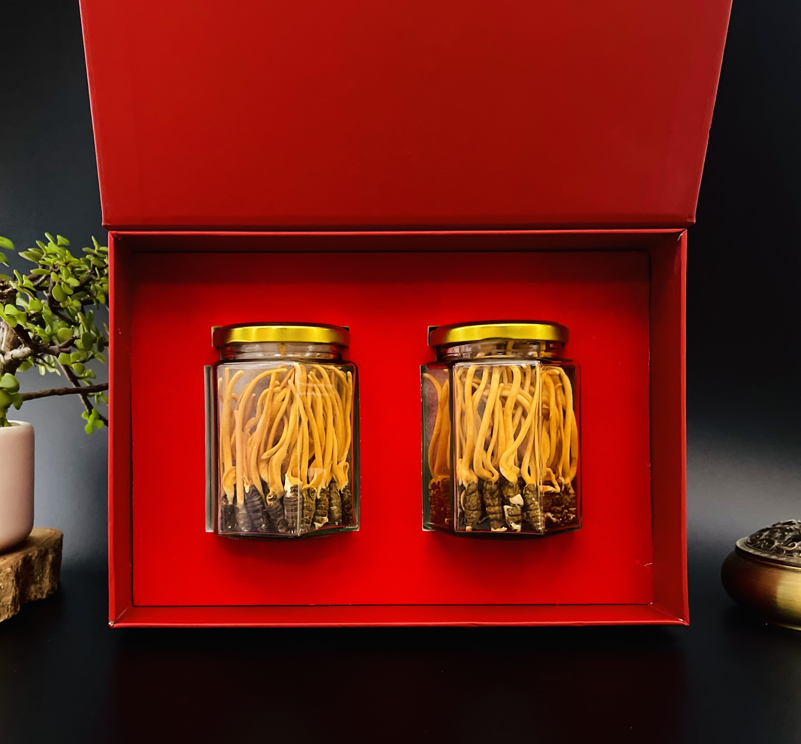 Đông trùng hạ thảo Nguyên con Hộp 20 gr