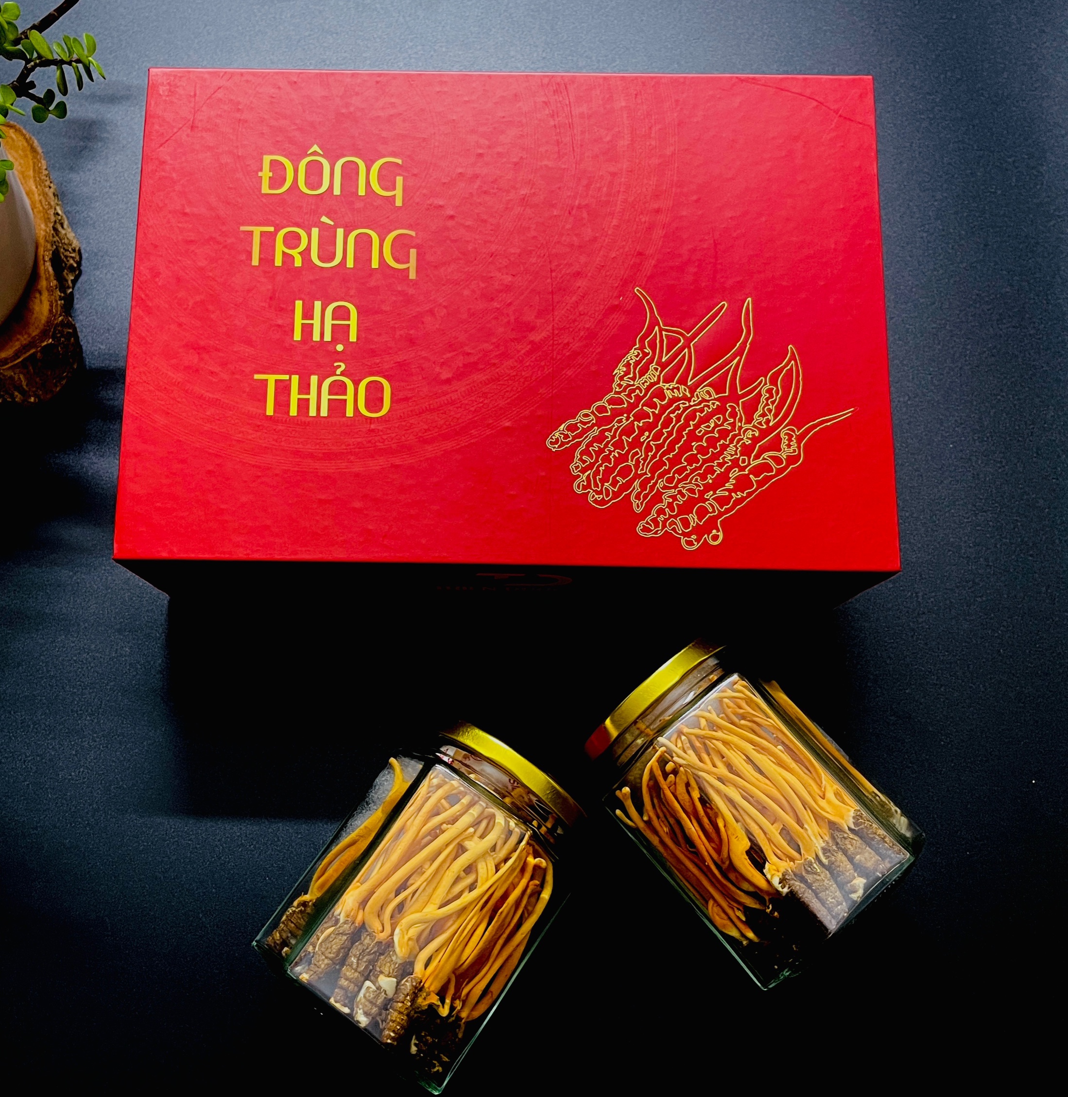 Đông trùng hạ thảo Nguyên con Hộp 20 gr