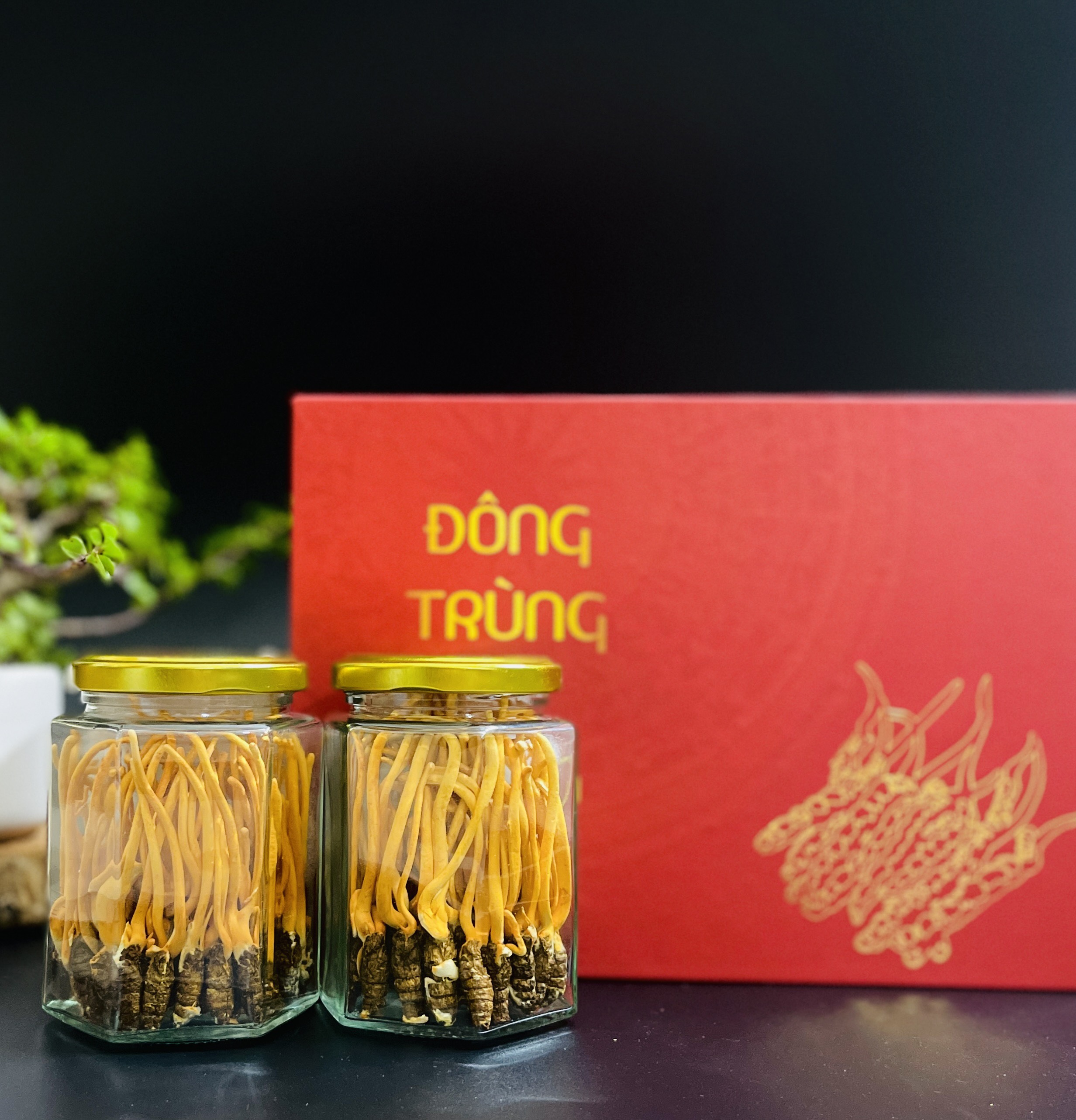 Đông trùng hạ thảo Nguyên con Hộp 20 gr