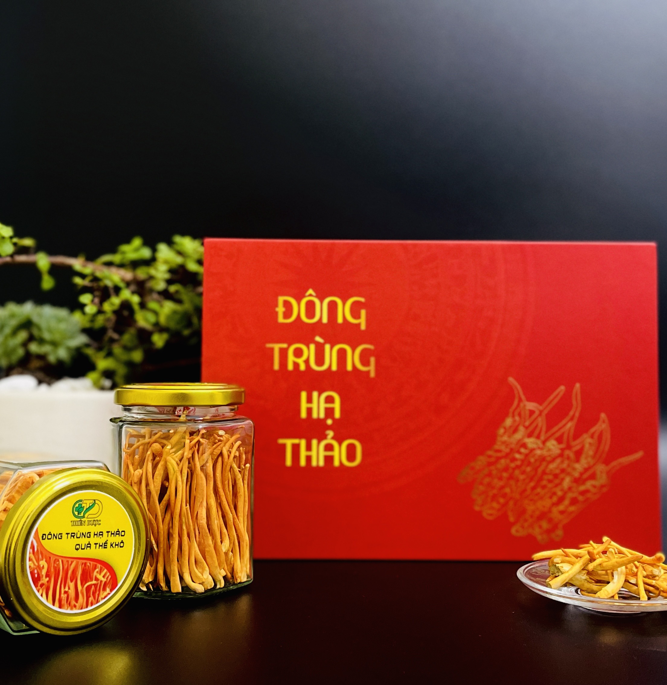 Đông trùng hạ thảo Quả thể khô sấy lạnh Hộp 20 gr