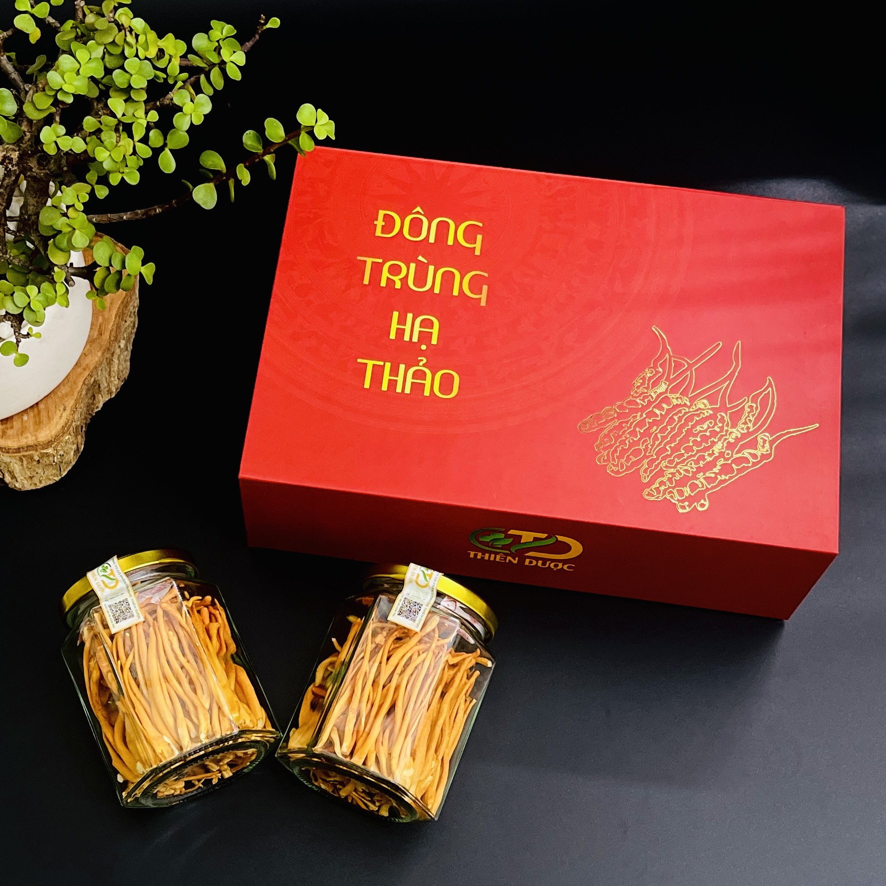Đông trùng hạ thảo Quả thể khô sấy lạnh Hộp 20 gr