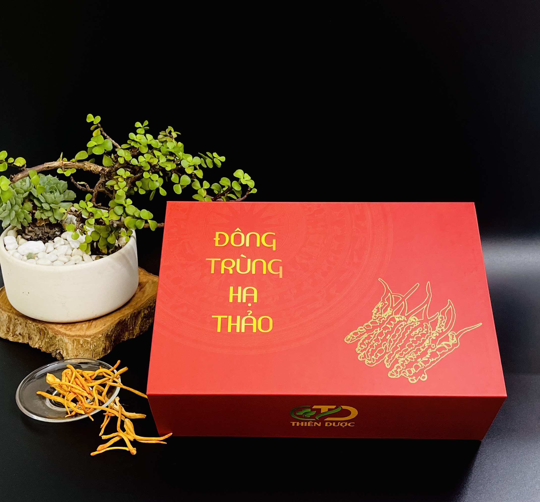 Đông trùng hạ thảo Quả thể khô sấy lạnh Hộp 20 gr