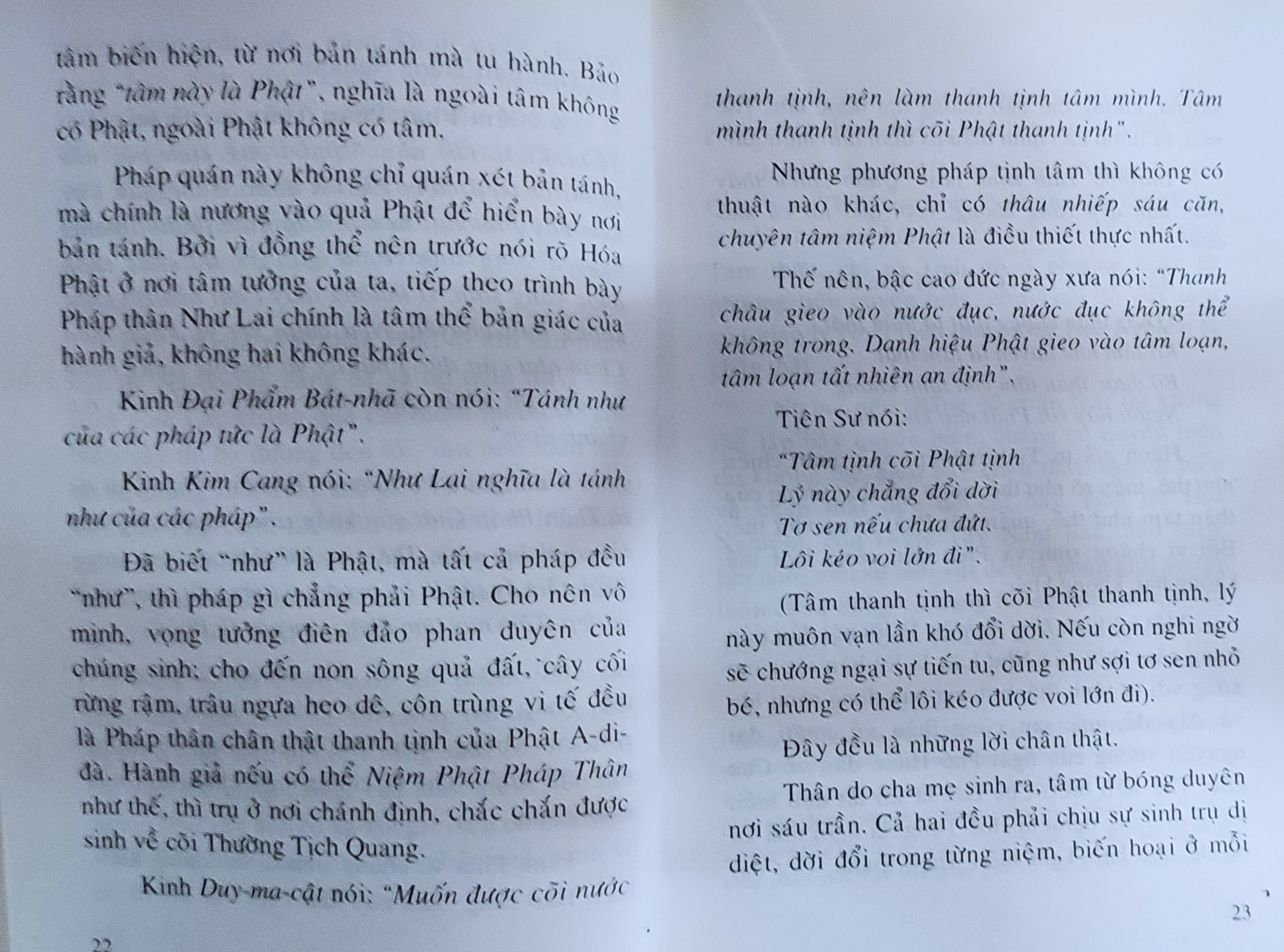 Tịnh độ chỉ quyết