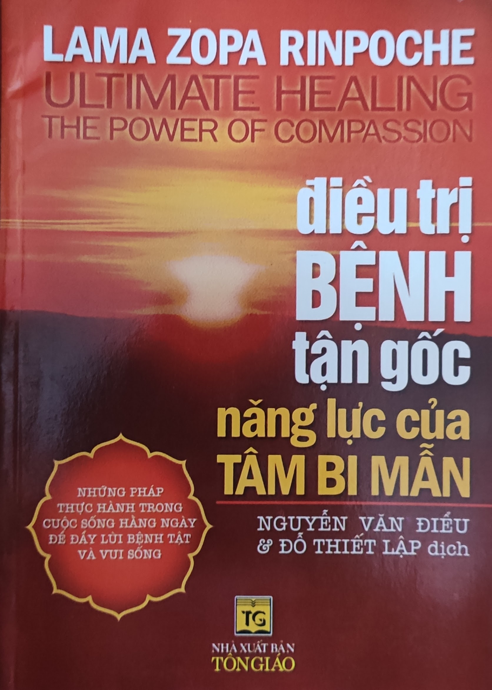 Năng lực của Tâm Bi Mẫn